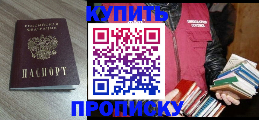 прописка 2025 в Курчалом